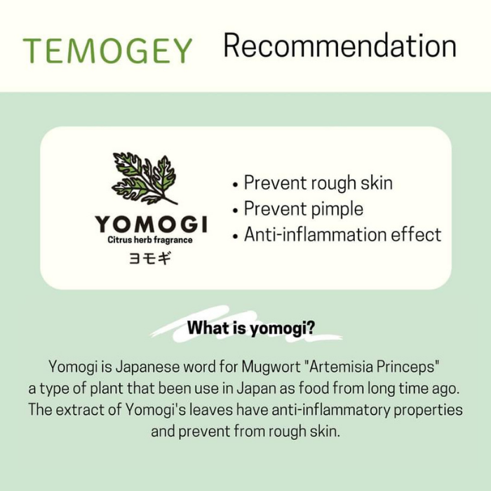TEMOGEY Daily Moisture Sheet Mask Yomogi - 30 Pieces