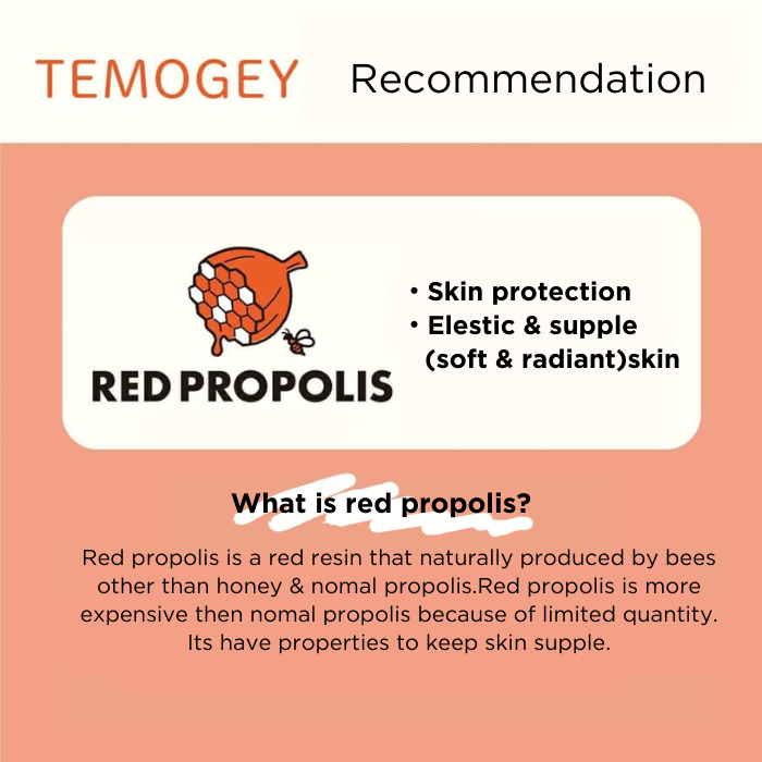TEMOGEY Daily Moisture Sheet Mask Red Propolis - 30 Pieces